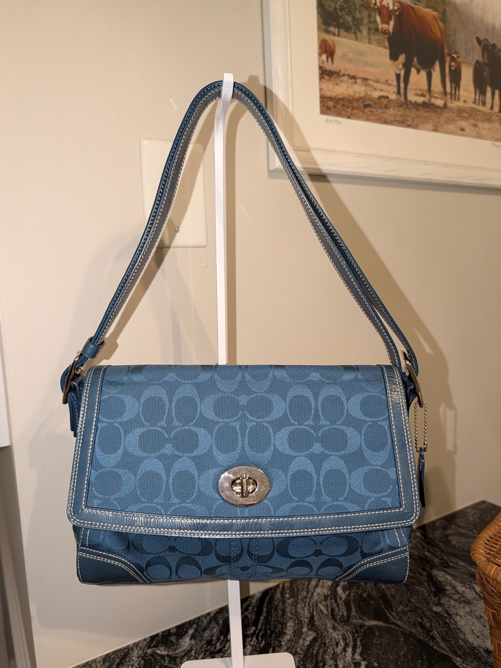 Coach Hampton Signature Flap Bag, style F13972